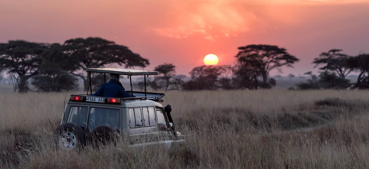 Couché de soleil sur le Serengeti, Tanzanie