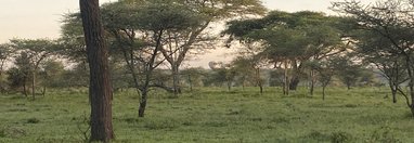 Souvenir du voyage de Ines, Tanzanie