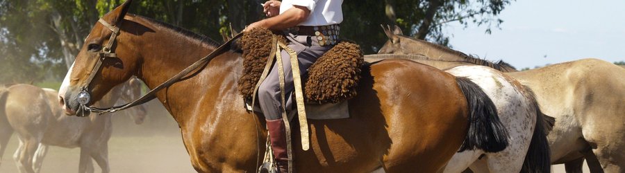 Gauchos sur un cheval, Argentine