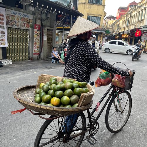 Souvenir du voyage de Carole, Vietnam