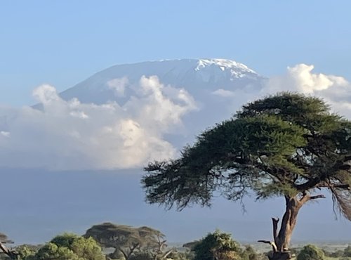 Souvenir du voyage de Michèle, Kenya