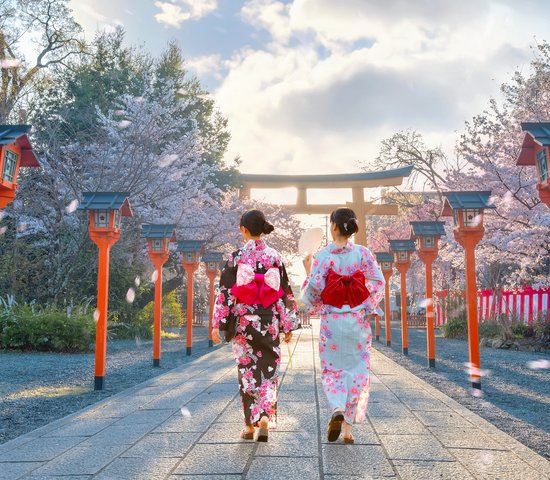 Jeune femme japonaise en robe traditionnelle Yukata se promène au sanctuaire Hirano jinja pendant toute la saison des fleurs de cerisiers