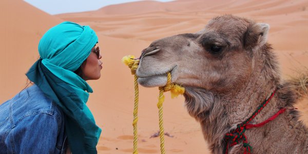 maroc desert sahara rencontre eleveur dromadaires