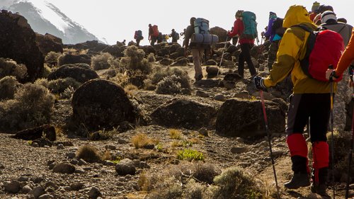 Voie Machame, Kilimandjaro, Tanzanie