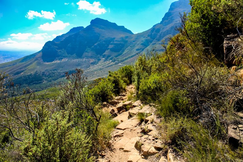 Small path leading up Platteklip Gorge to Table Mountain, Cape Town, Western Cape, South Africa.