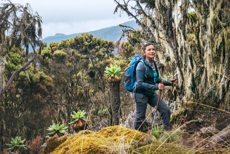 Trekkeus, Kilimandjaro, Tanzanie