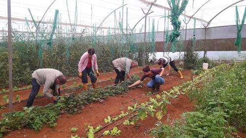 Action solidaire Equateur