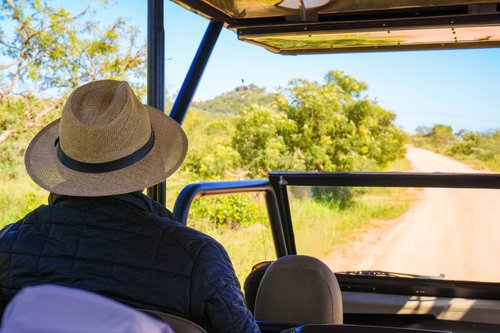 Un touriste portant un chapeau de soleil est assis dans un véhicule 4x4, à la découverte des paysages naturels du parc national de Kruger, en Afrique du Sud