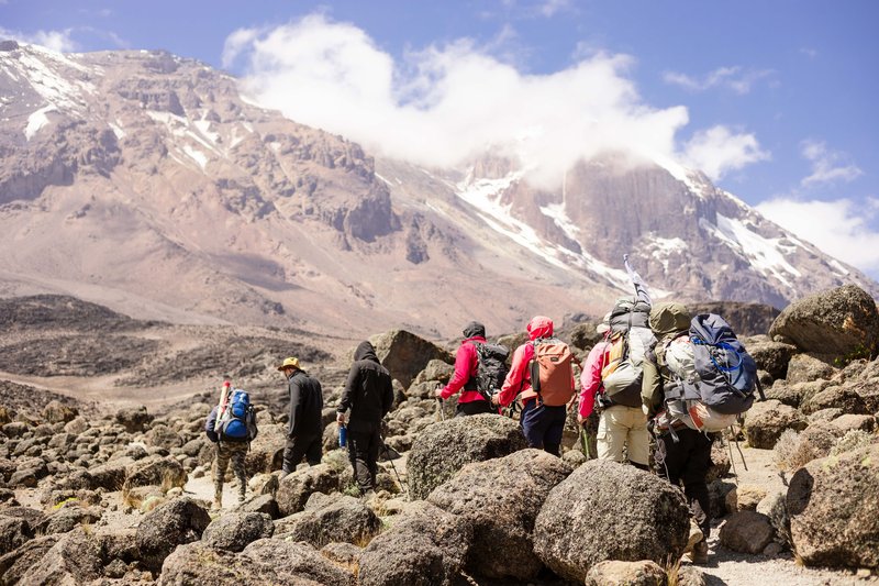 Trek, Kilimandjaro, Tanzanie