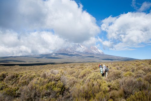 Mont Kilimandjaro, Tanzanie