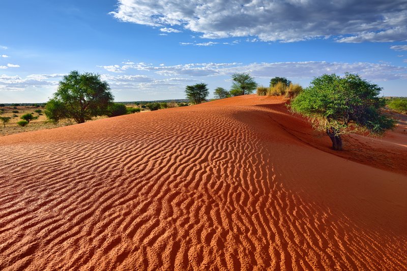 Kalahari, Afrique du Sud