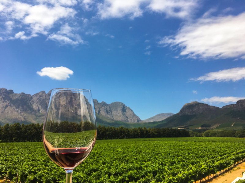 Dégustation de vin de Franschhoek dans le Western Cape, Afrique du Sud.