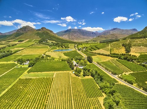 Vignobles de Franschoek et paysages montagneux Afrique du Sud