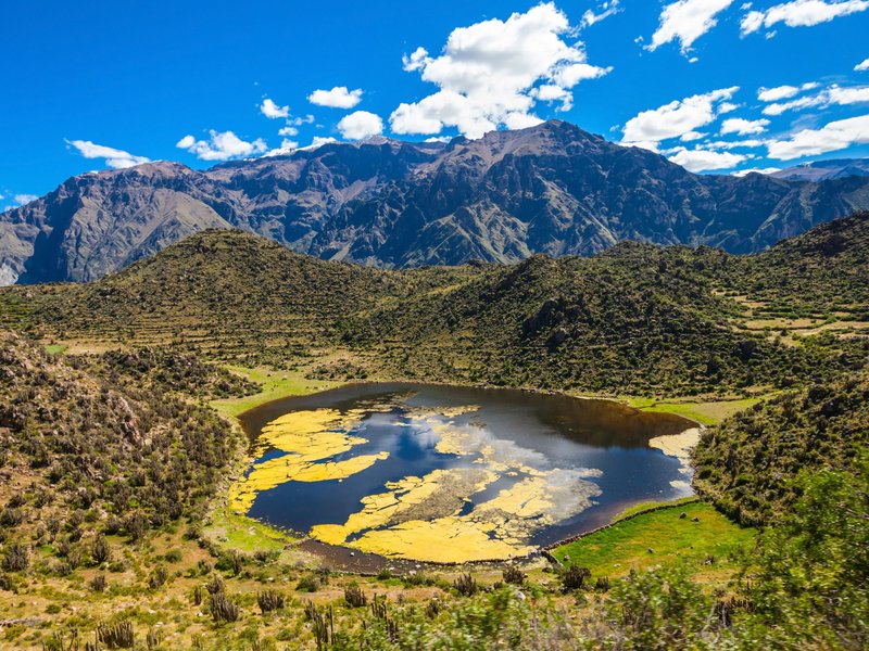 Canyon Colca