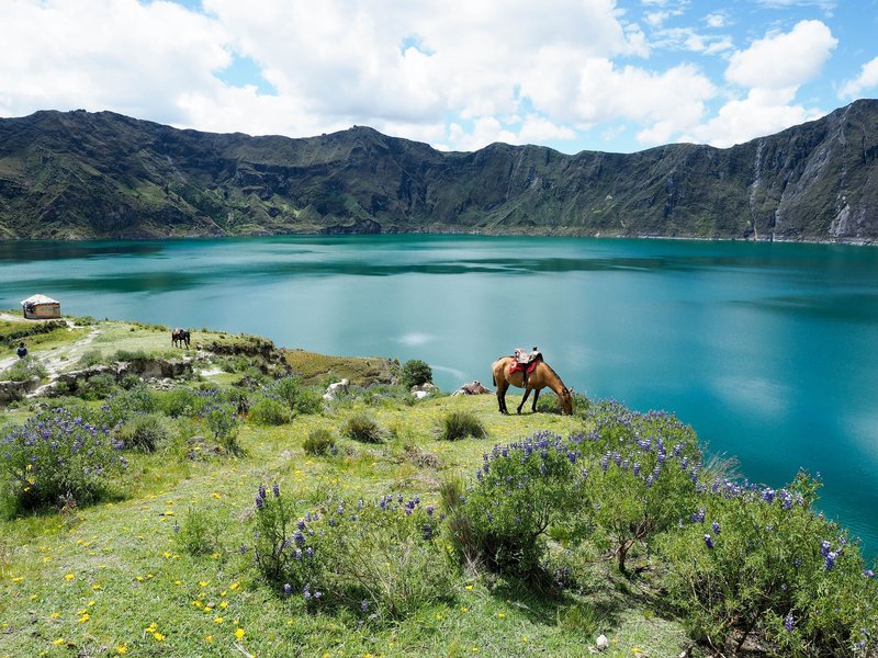 Equateur en bref