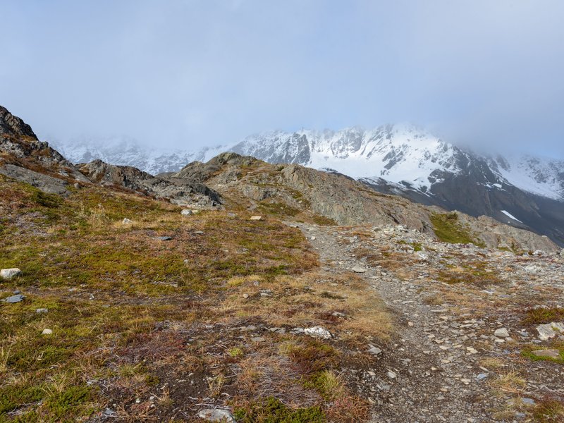 La Harding Icefield Trail, Kenai Fjord National Parc, Etats Unis