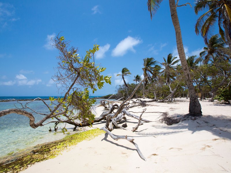 Le parc national Morrocoy, Venezuela