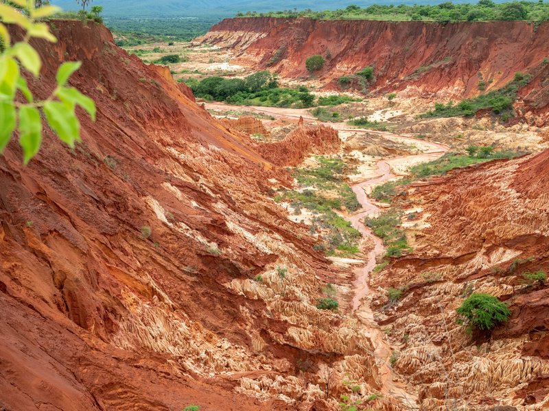 Madagascar parc