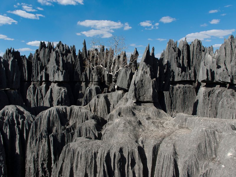 Parc national Tsingy de Bemaraha