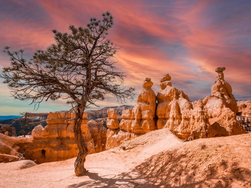 Randonnée dans Queens Garden, Bryce Canyon, Etats Unis