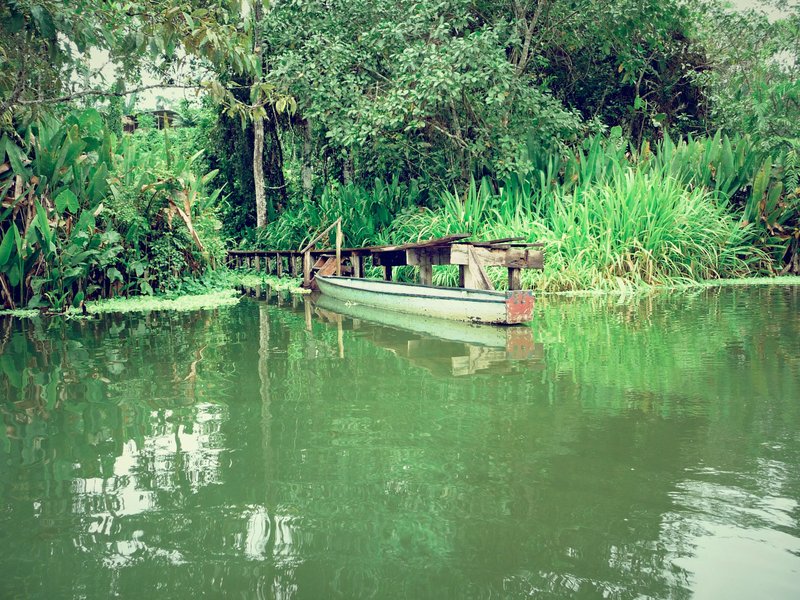 Rio Napo