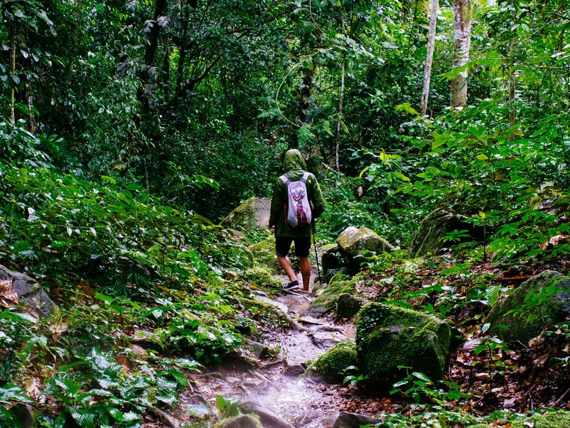 Tarapoto