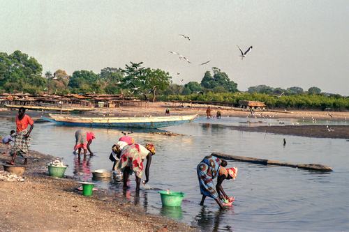 Sénégal Toubacouta