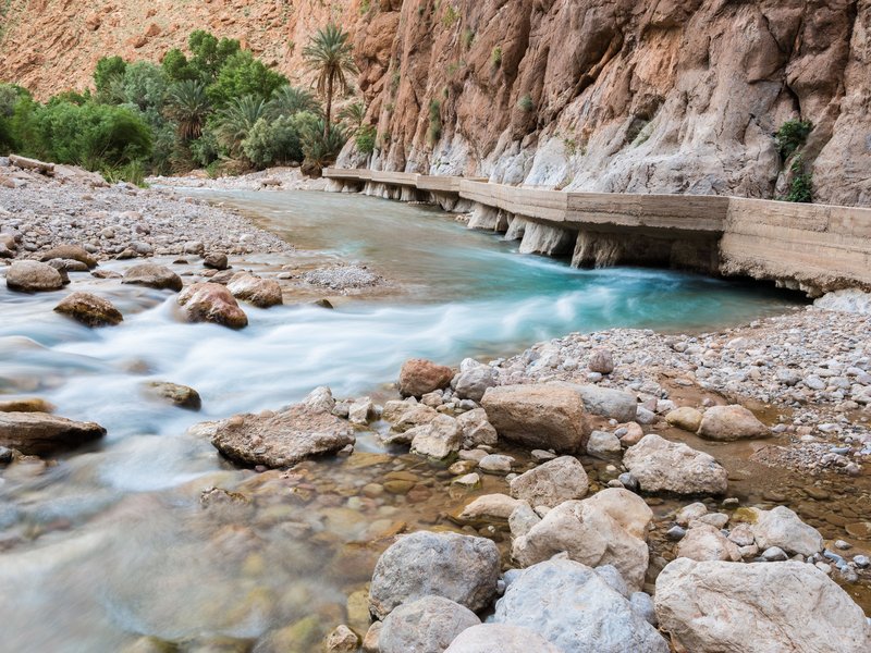 Toudra Oasis