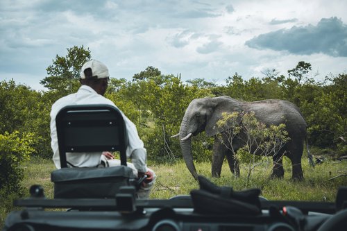 Parc Kruger, Afrique du Sud