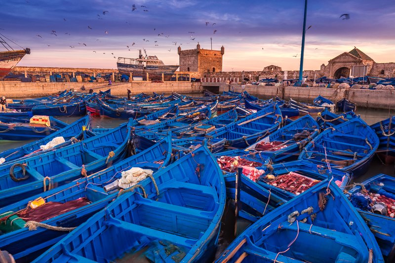 bateaux bleus port essaouira maroc