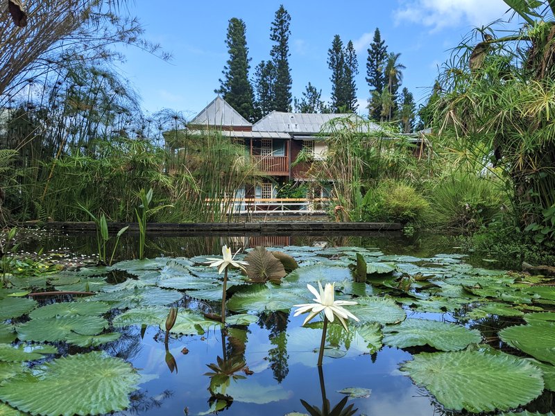Etang et maison de nénuphars, jardin botanique de Mascarin et conservatoire à La Réunion, France