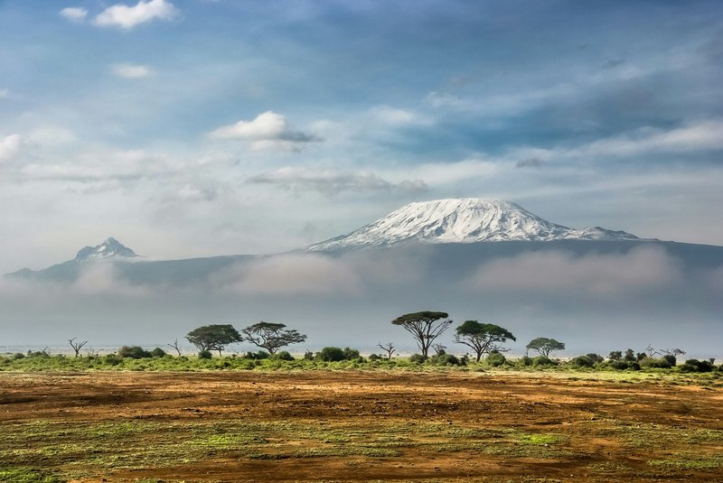 Le parc national d'Amboseli