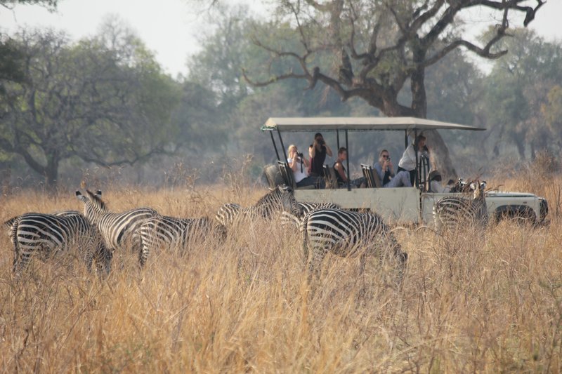 Groupe de touristes en safari dans les parc national du Masai Mara au Kenya