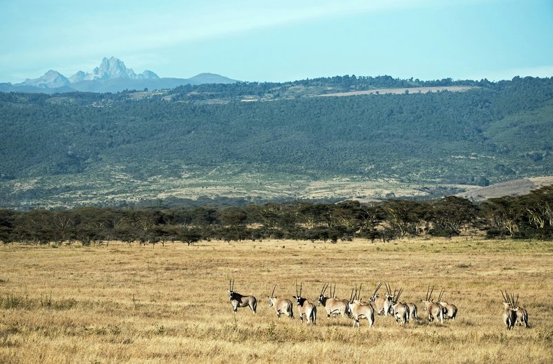 Mont kenya