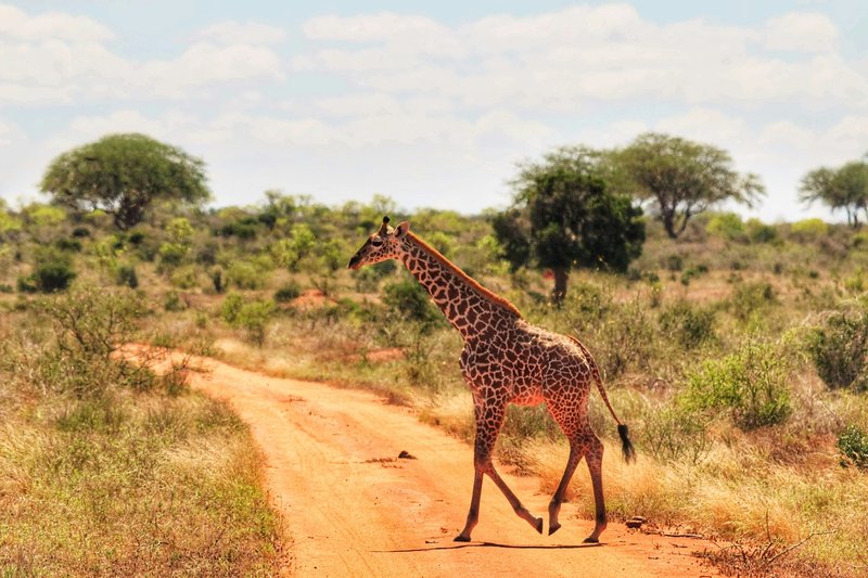 Parc national de Tsavo Est