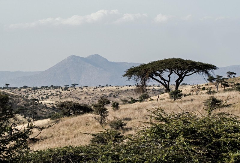 Lewa Safari Kenya