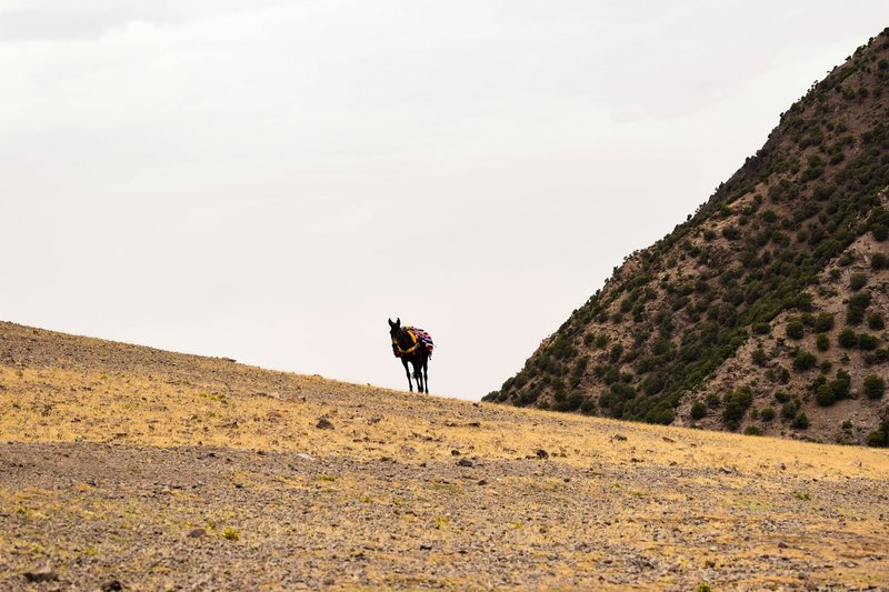 parc national maroc