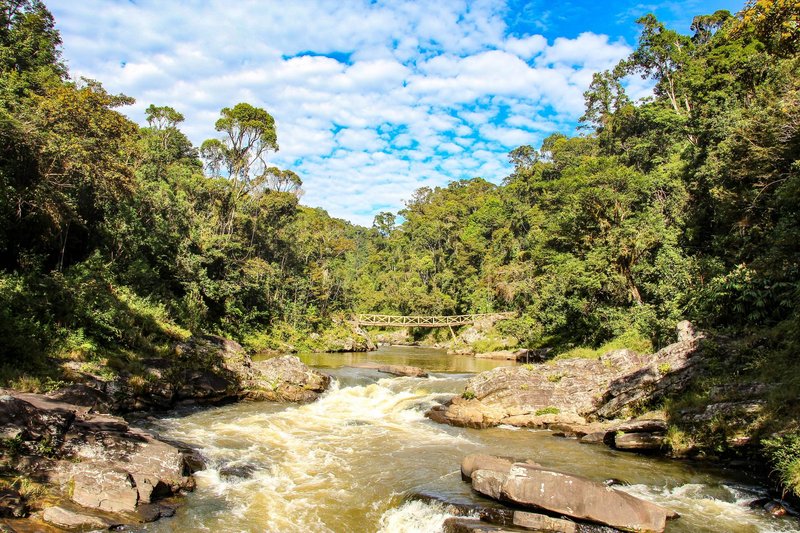 Parc national ranomafana