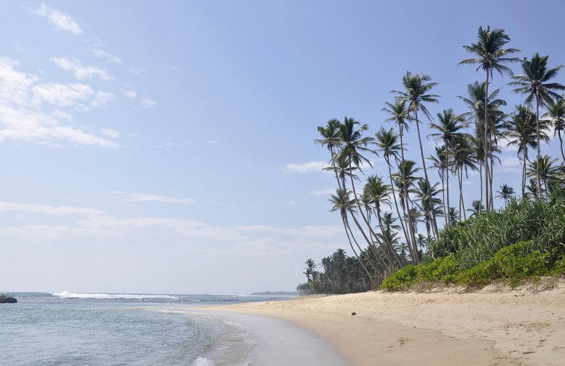  Plage Polhena - Sri Lanka