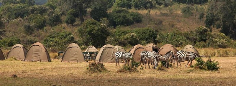 programme kenya camping safari kenya