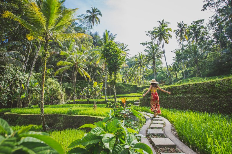 riziere ubud indonesie