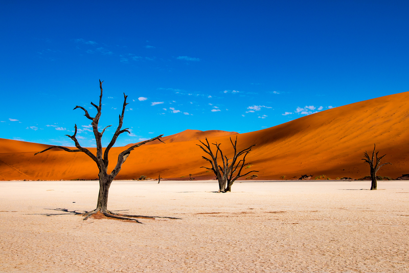 shutterstock_1038660217_DeadVeil_Namibie