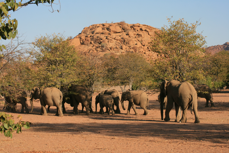 shutterstock_1703509402_Twyfelfontein_Namibie