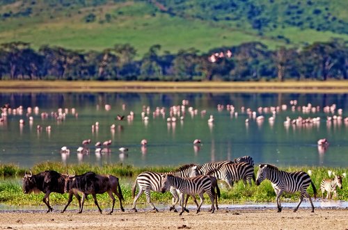 Ngorongoro, Tanzanie