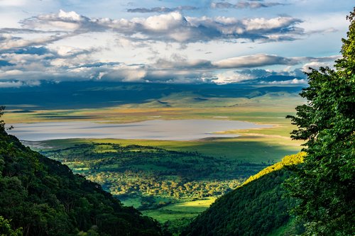 Cratère de Ngorongoro, Tanzanie