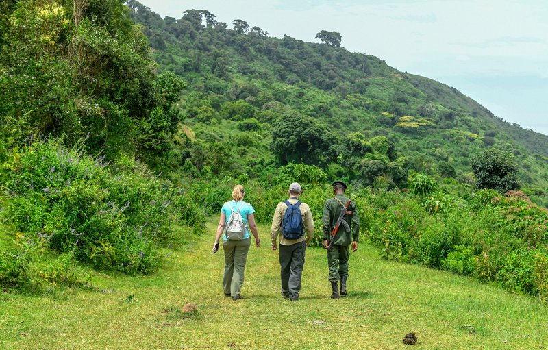 Safari à pied, Ngorongoro, Tanzanie