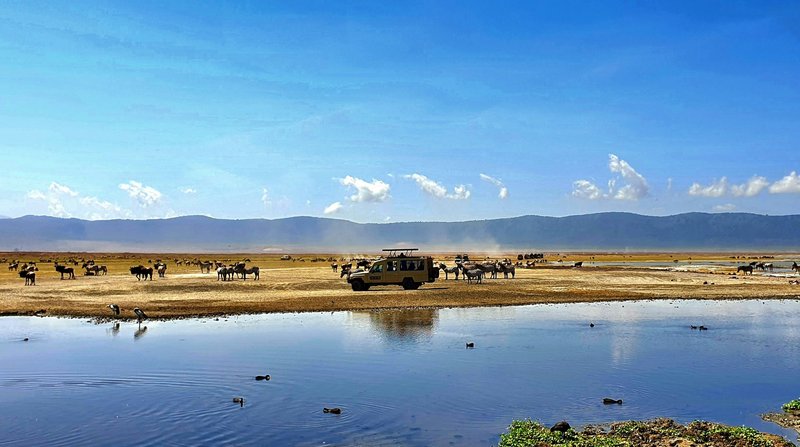 Cratère de Ngorongoro, Tanzanie