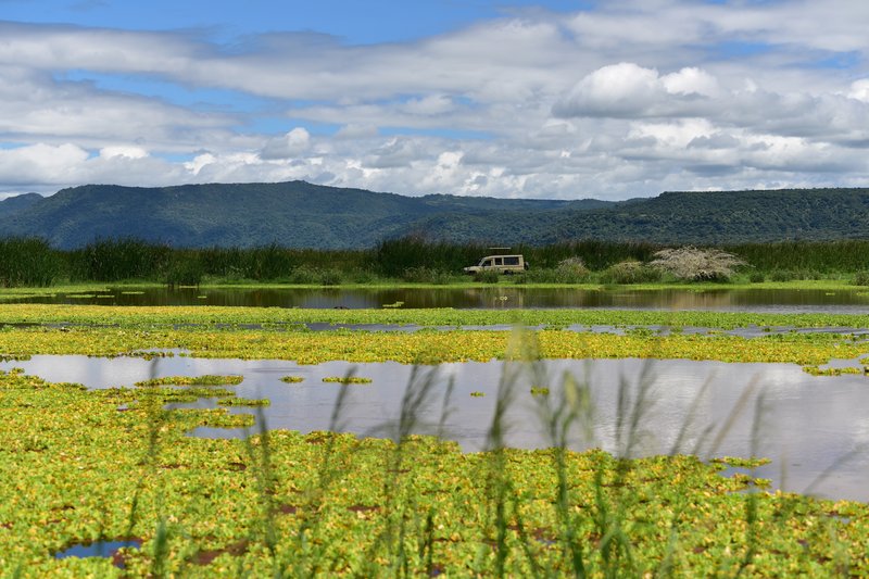 Parc national du lac Manyara, Tanzanie
