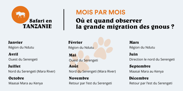 Tanzanie Quand partir Tableau migration des Gnous