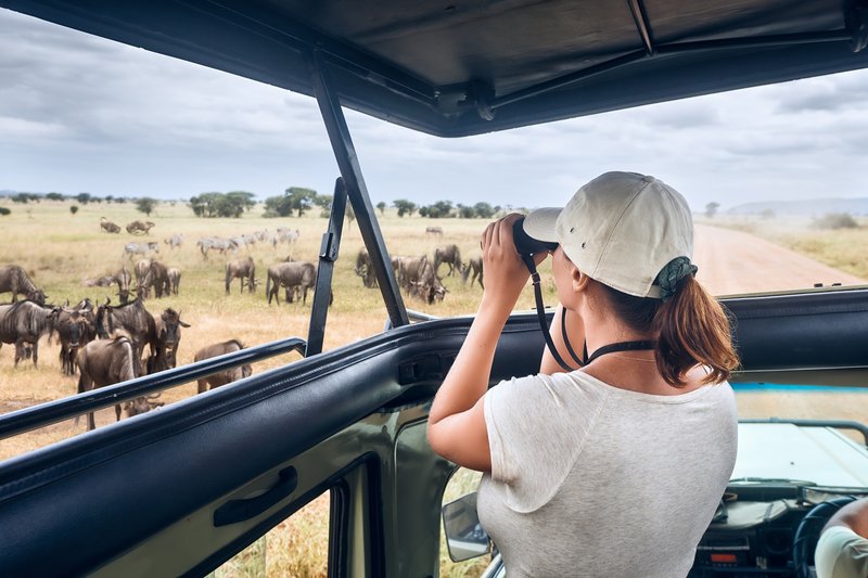 Safari dans le Serengeti, Tanzanie